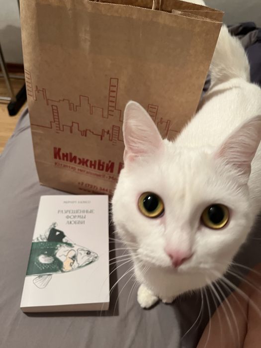 Отдам белую кошку в добрые руки