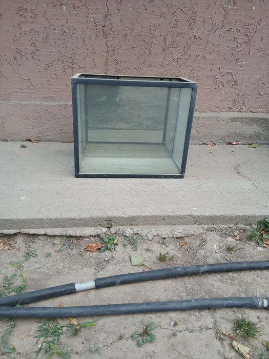 Аквариум для рыбы