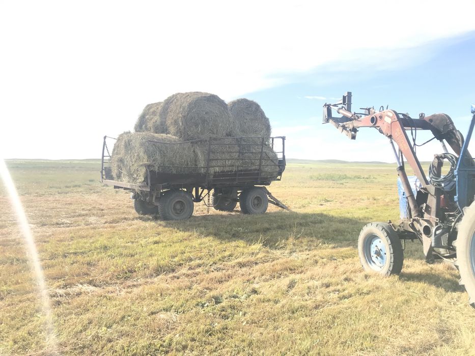 Продам сено рулон