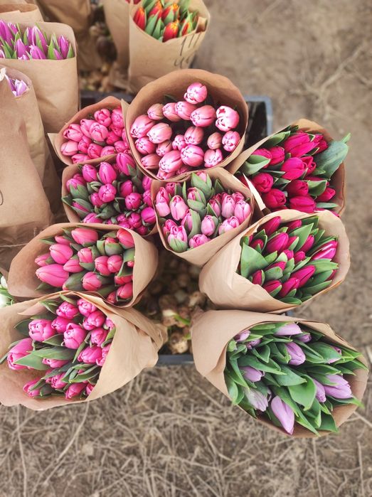 Букет 101 тюльпан новый