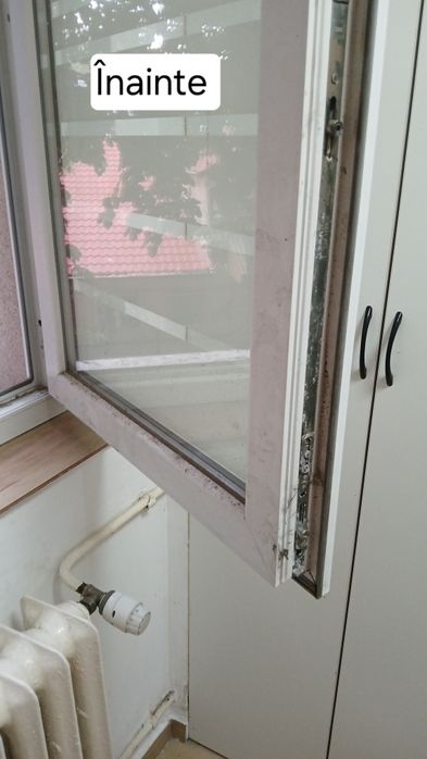 Curățenie la domiciliu