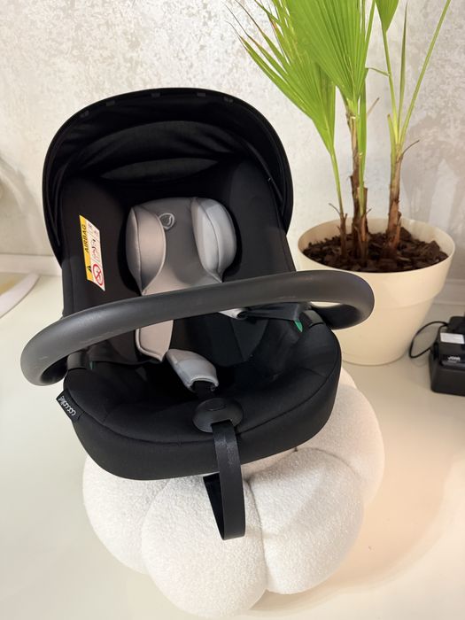 scoica coelle nefolosita