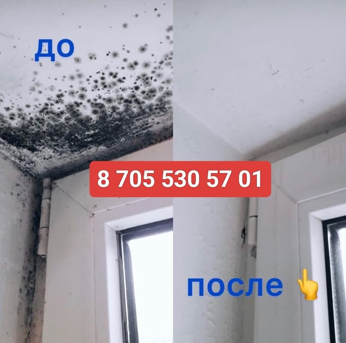 Химчистка дивана матраса