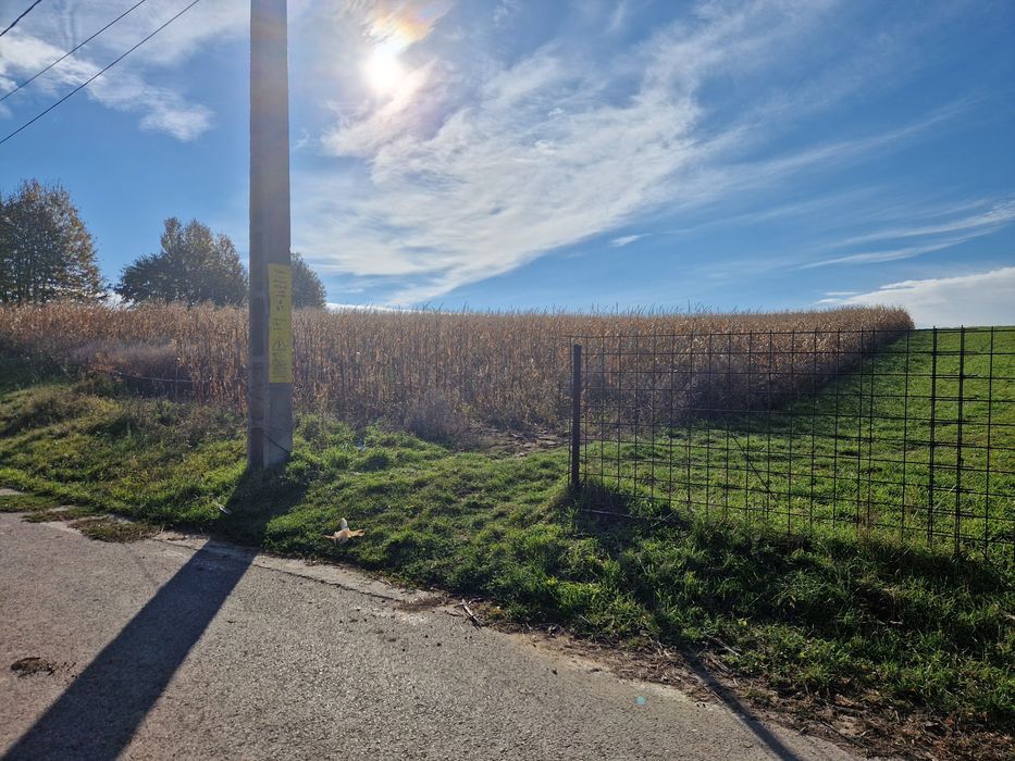 Terenuri de vânzare