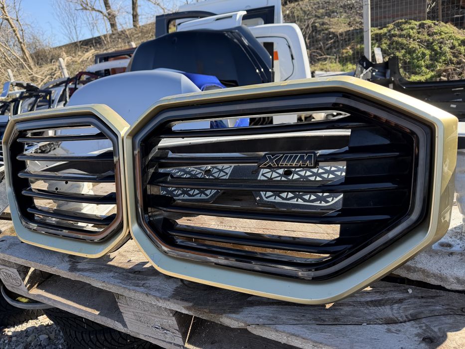 Решетка Бъбреци BMW XM