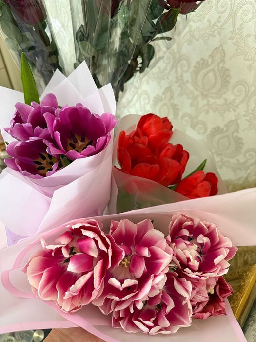 Тюльпаны свежие 5000