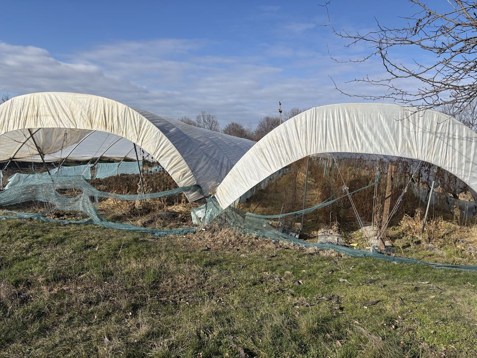 Vand solarii gradina