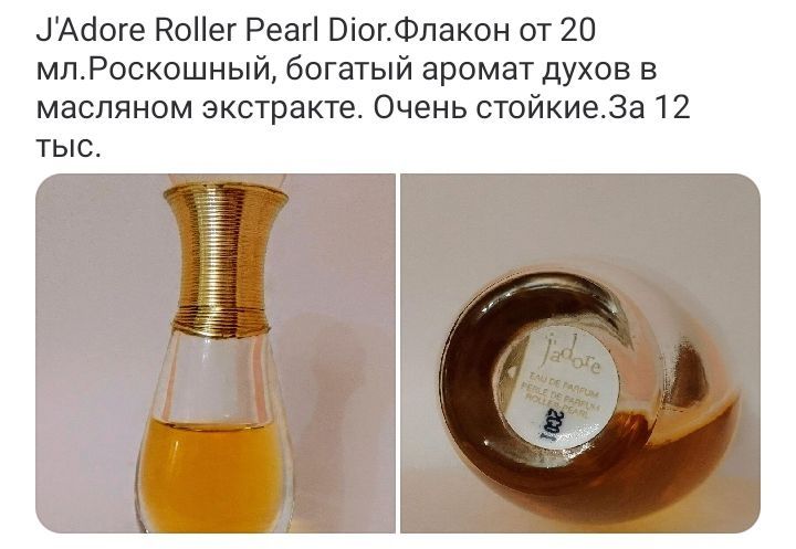 Роза амбра Камелия  Дзинтарс