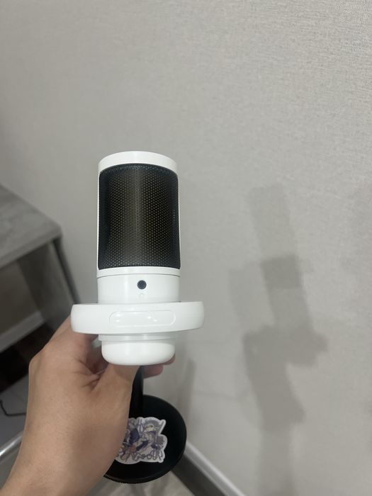 2 микрофона с RGB