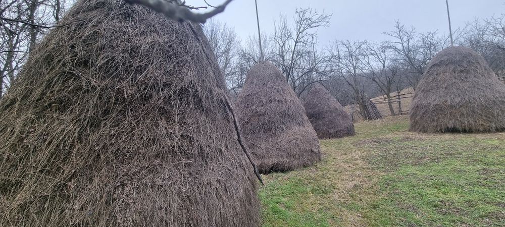 Fan de vanzare vrac și țuica