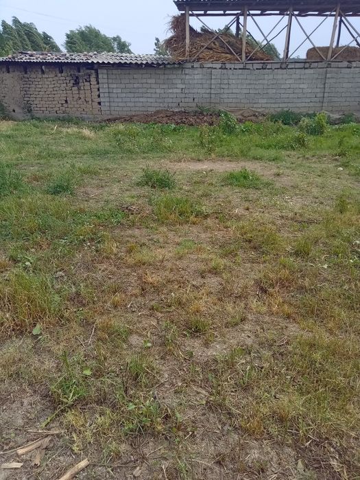 Арзон нархда йер сотилмокта