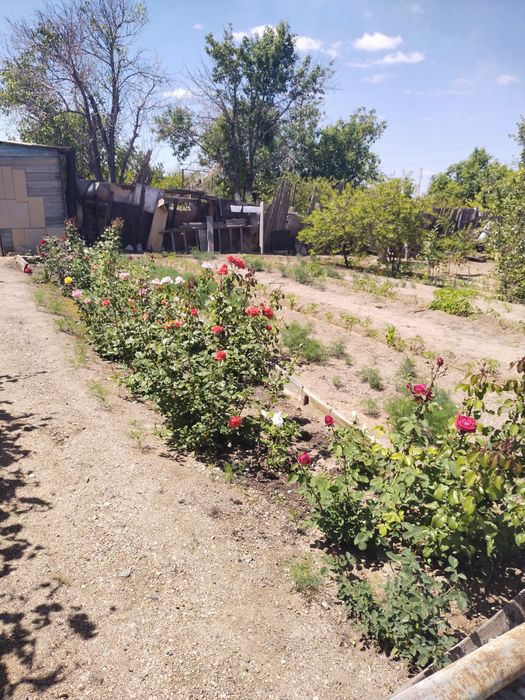 Продается дача 16,73 соток