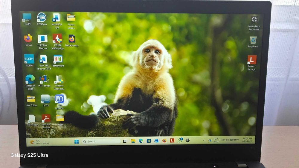 Lenovo Thinkpad T14 Gen 2 16GB Ryzen 5 Pro - SSD 512GB