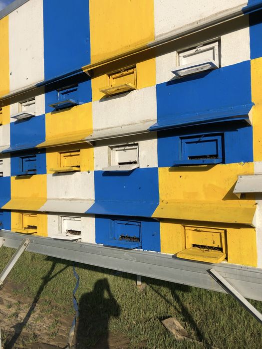 Pavilion apicol pe picioare detasabile