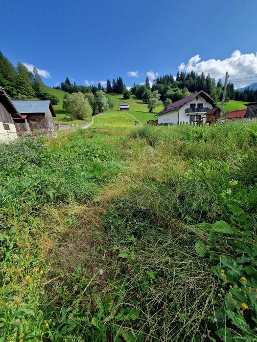 Teren cu casa de vanzare,Câmpulung Moldovenesc,strada Izvorul Alb