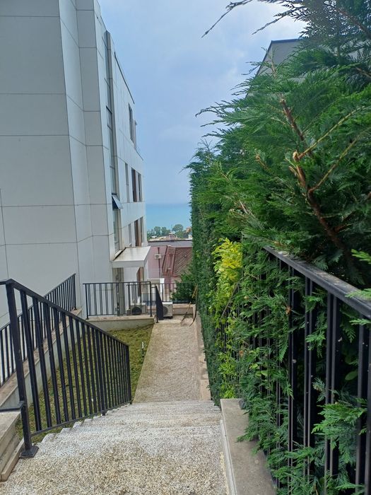 Косене на трева.Почистване на дворни места от храсти,дървета