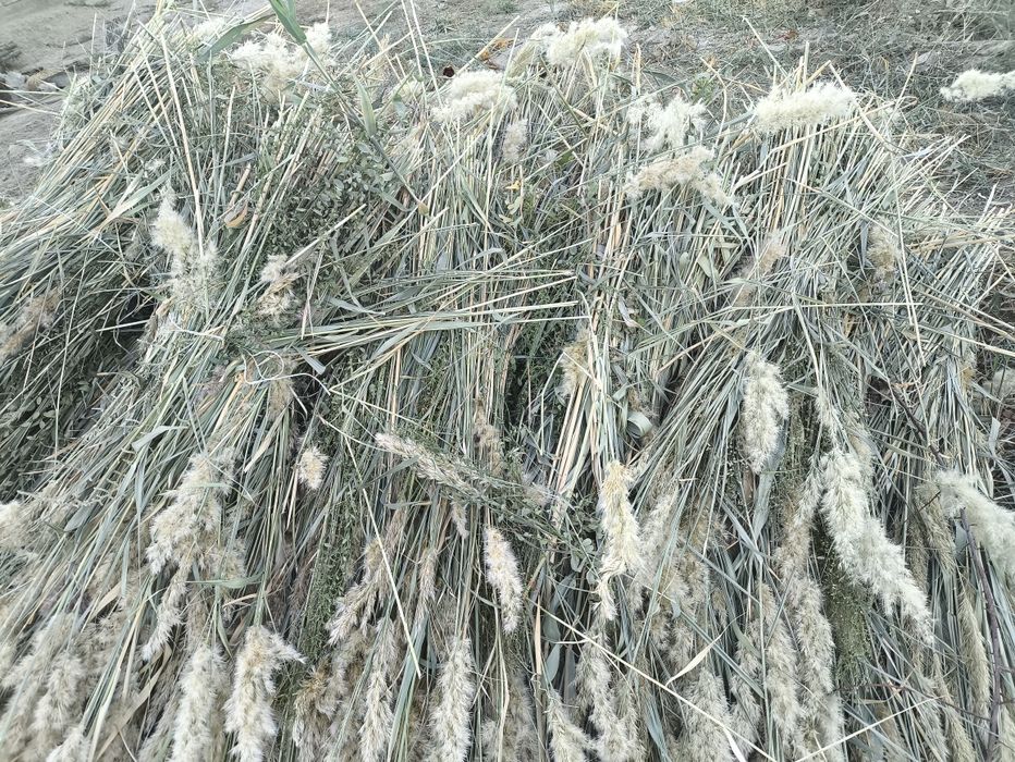 Баушөп сатылады,қолмен орылған