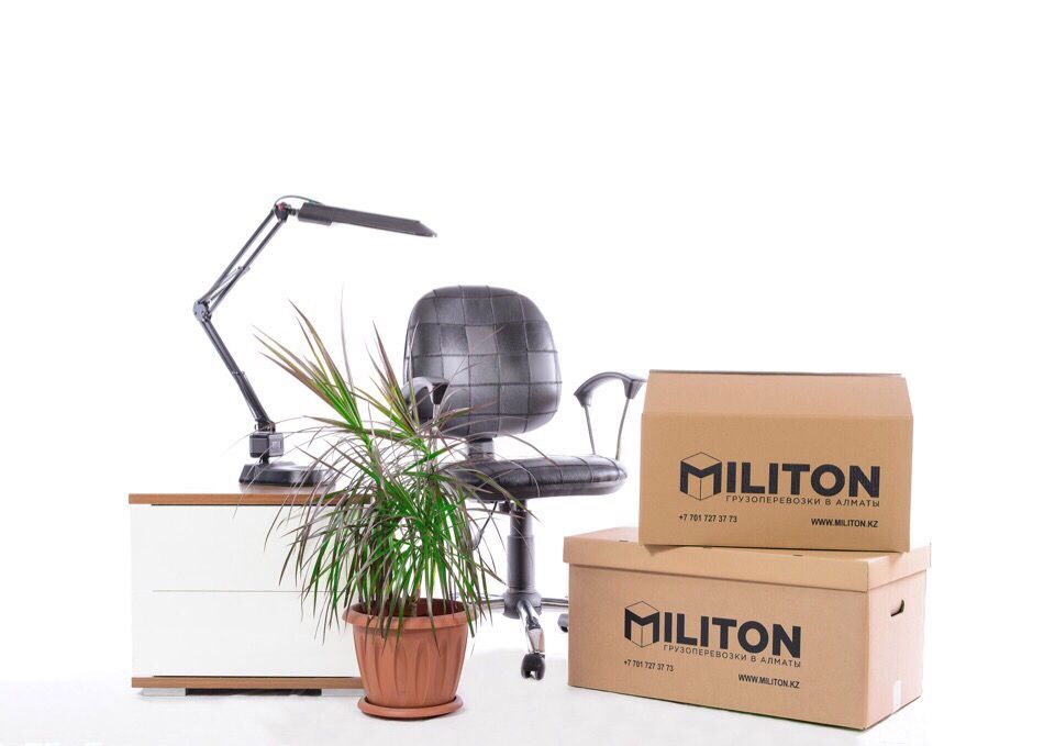 Разборка/сборка мебели, квартирный/офисный переезд, грузовое TAXI ...