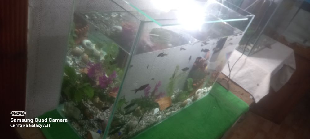 Продам аквариум  на 80 и 60  литров