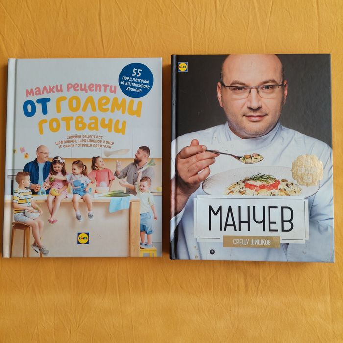 Манчев срещу Шишков и др.