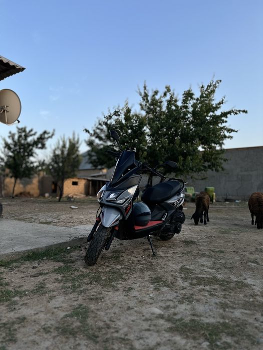 Самурай беннали 180куб