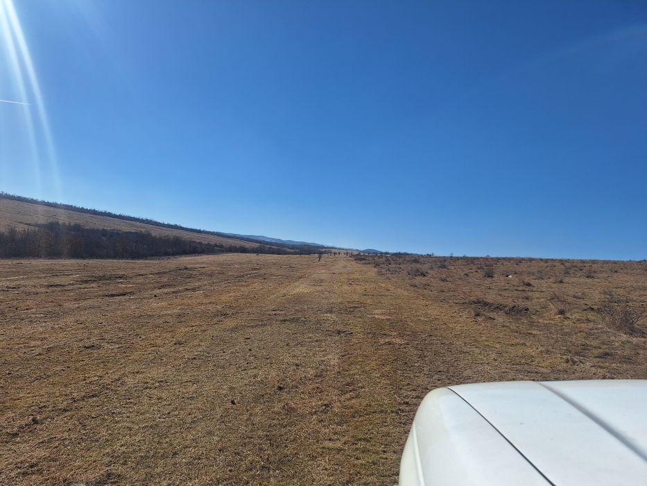 Curatam pasuni și terenuri împădurite