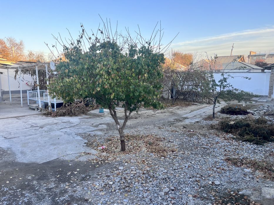 Жер үй сатылады Новостройка