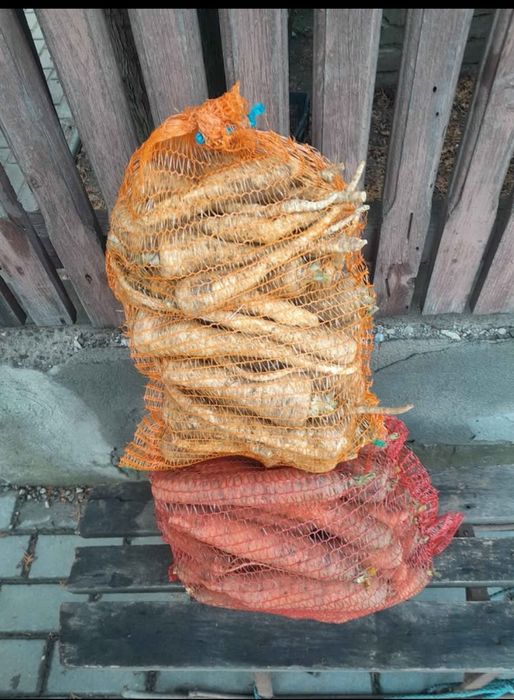 Morcov , patrunjel .