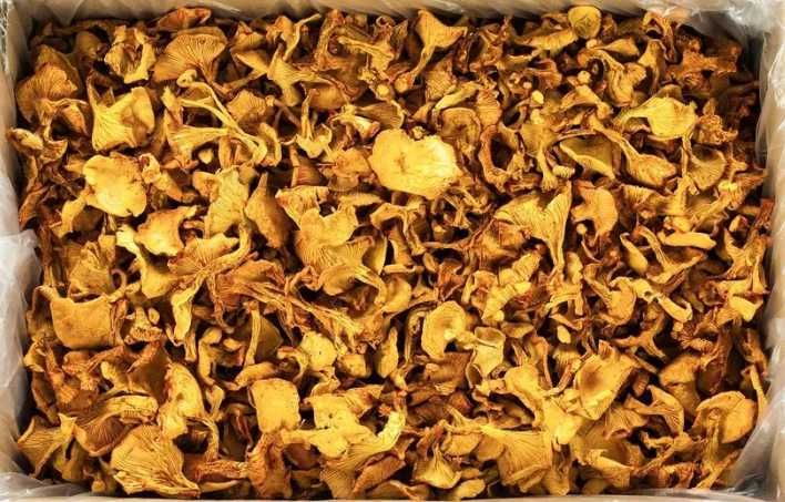 Грибы лисички | Премиум Башкирия | Цельные и молотые