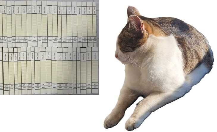 Vand seria de 1-40 de volume Jules Verne - Adevarul