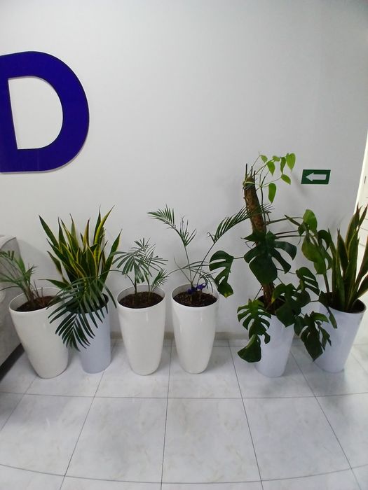 Ликвидация товаров для офиса