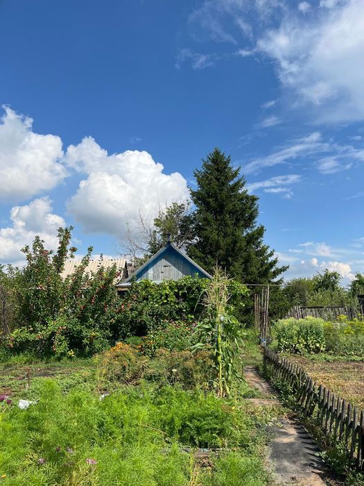 Продам дачу сад "Нефтяник"