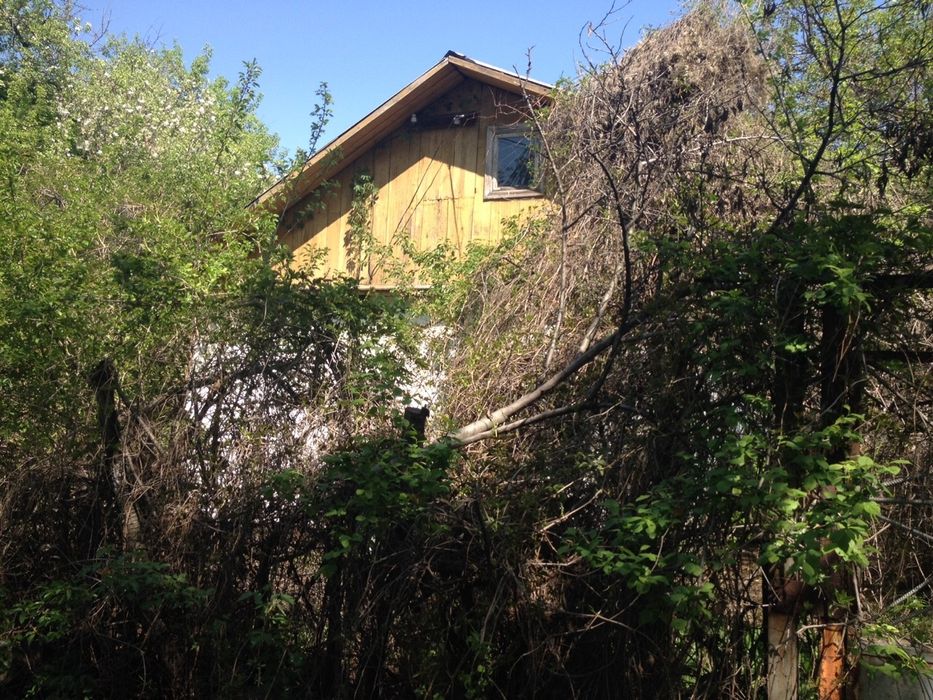 Сдаётся дача на аренду