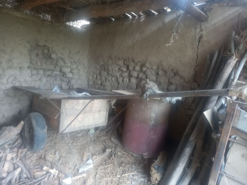 От арава сотилади эшакка хам булади