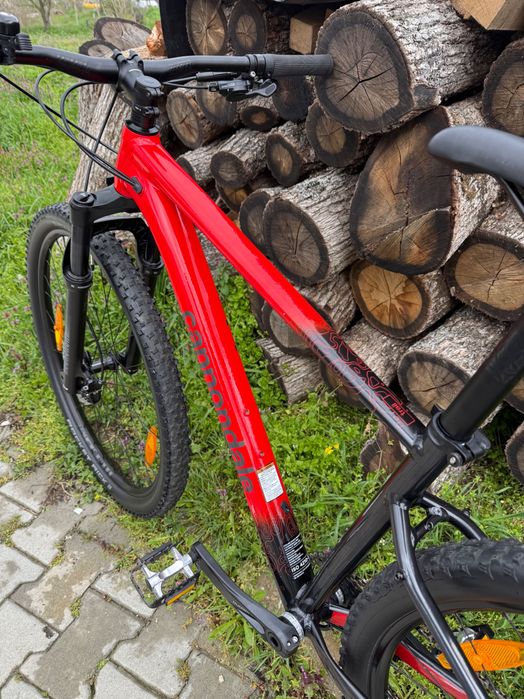 Cannondale Trail SL3 M”29” 2024