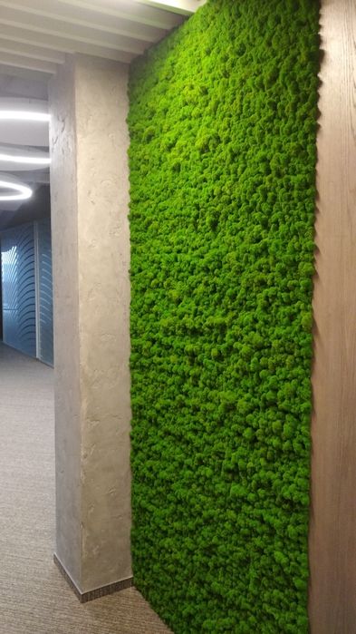 Ремонт и отделка!