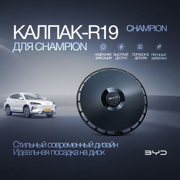 Колпаки R19 для BYD Champion