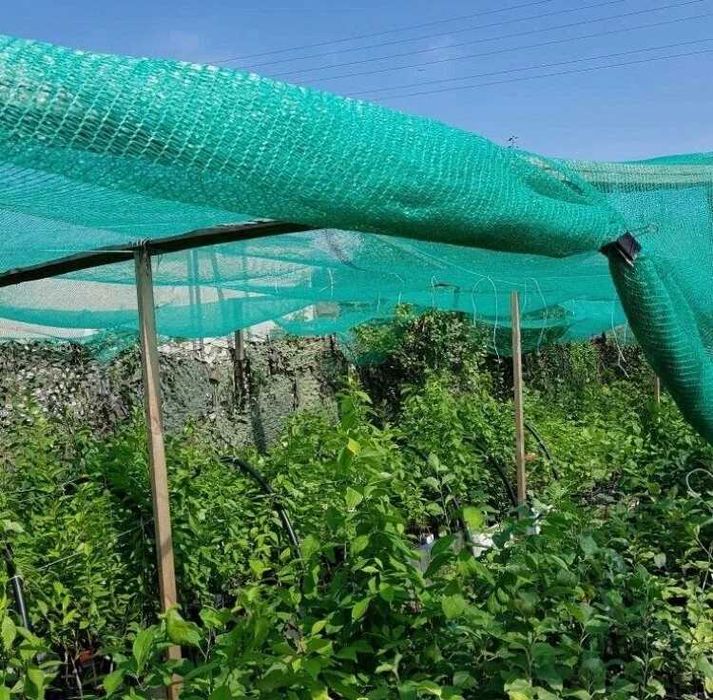 soya setka  quyosh setka  soyabon