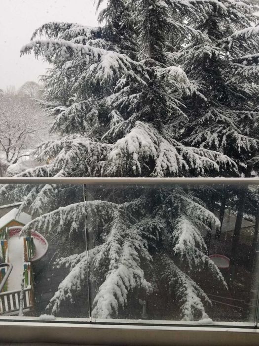 Продава се Двустаен апартамент в Варна, Бриз - 64 кв.м за 2797 €/кв.м - Снимка #13