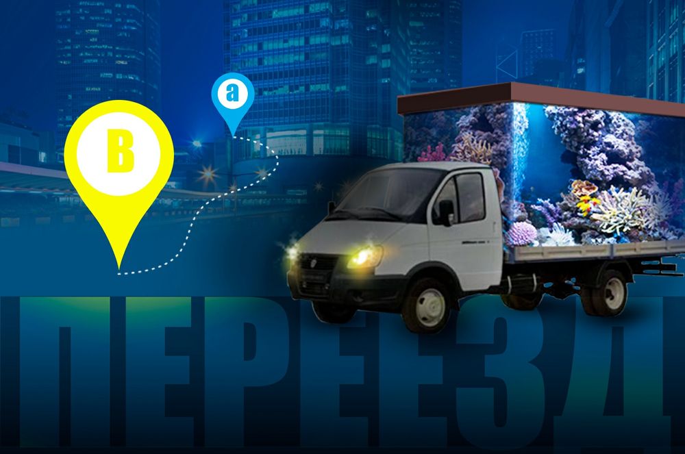 Ремонт и обслуживание аквариумов профессионалами