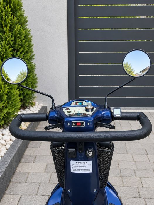 electric dizabilități