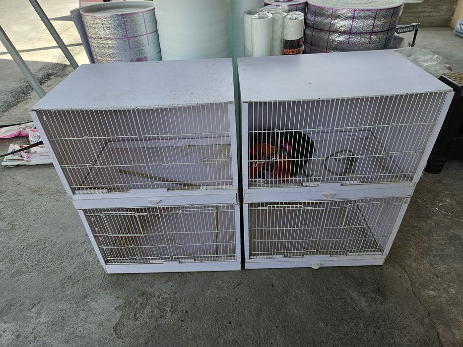 Qafasla sotiladi qafas qapas