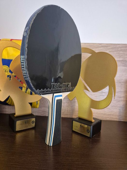 Paletă chinezeasca profi XVT EFECT Max de atac