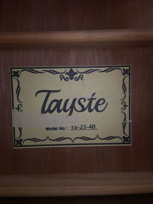 tayste guitar