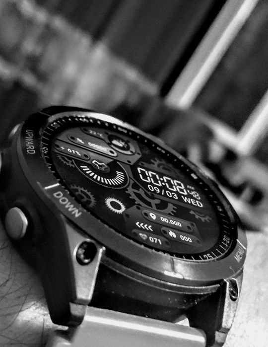 GS Fenix 8 (Garmin)