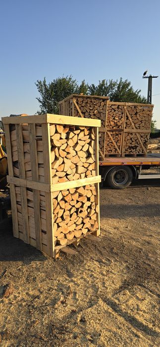 Lemn foc Fag paletizat 800 lei paletu