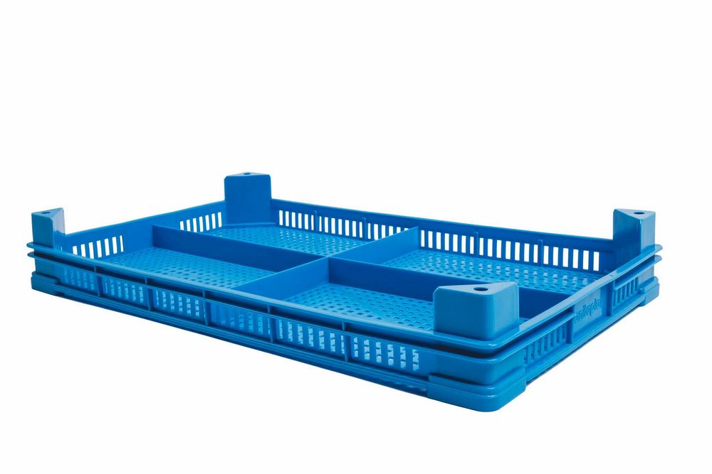 Касетка касетки каса каси за малина малини