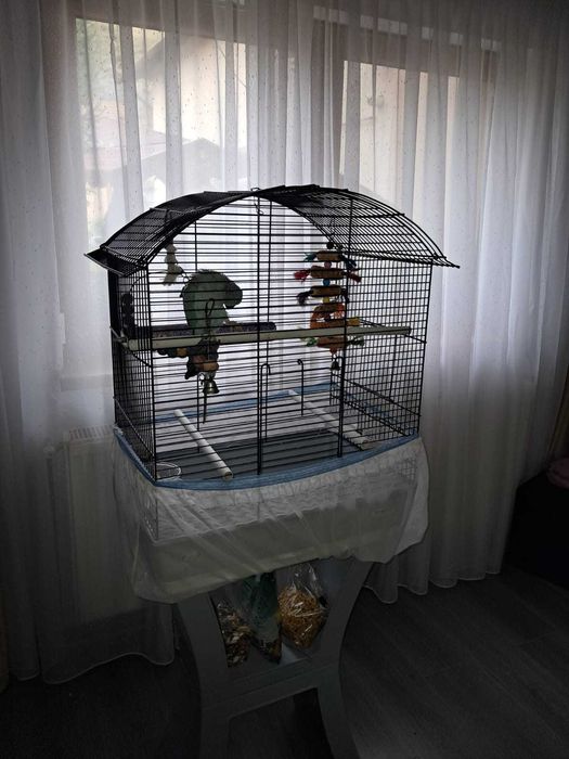 De vanzare Micul Alexandru