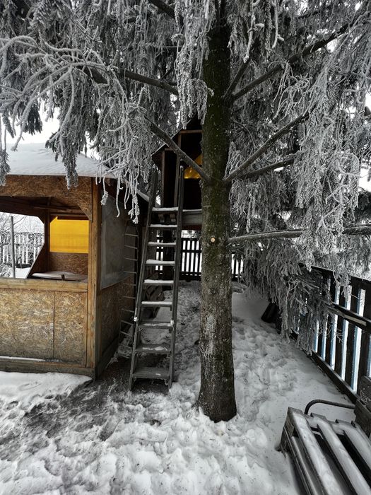 Продам дом в пригороде,с.Петерфельд.