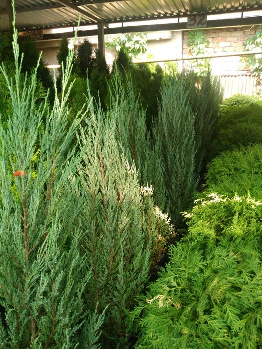 Садовник Агроном